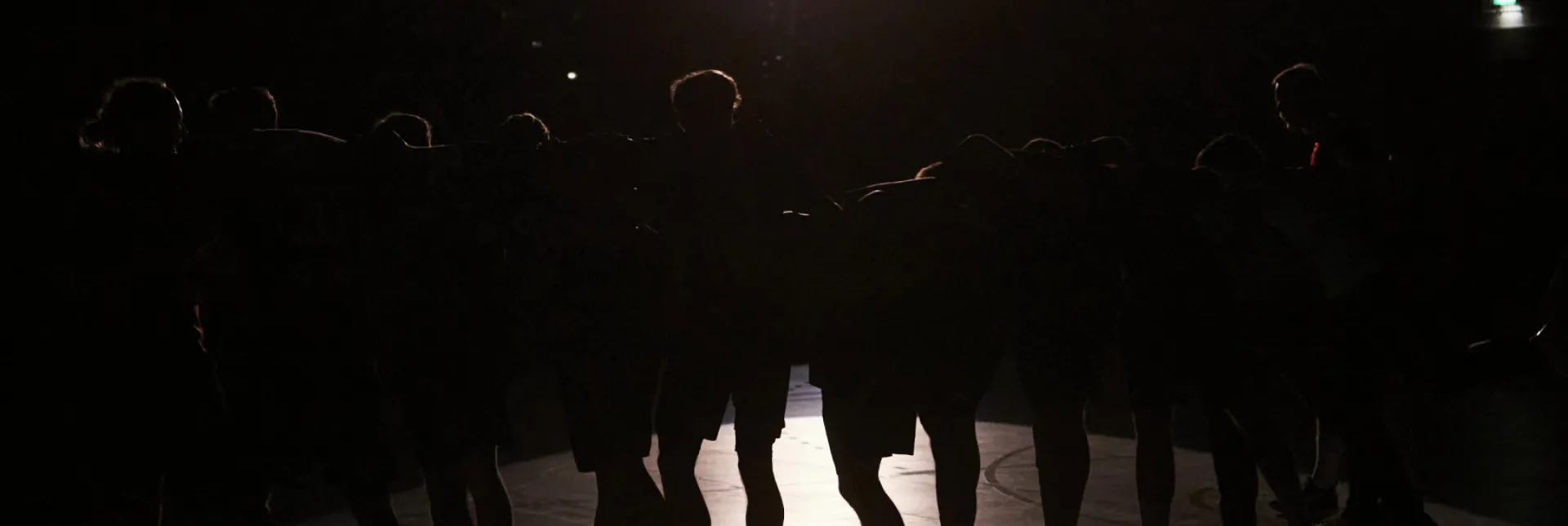 Team-Handball_Einlauf-gegen-LIT-II-04-12-2021-.jpg