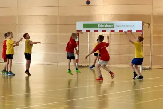 Handball-Minis-2-3695514.jpg